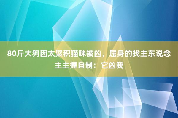 80斤大狗因太聚积猫咪被凶，屈身的找主东说念主主握自制：它凶我