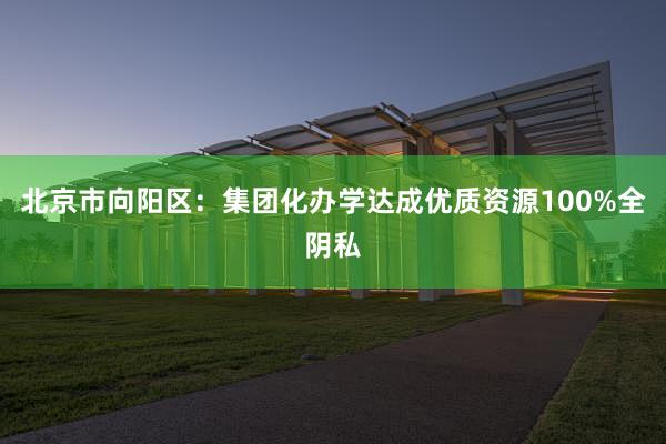 北京市向阳区：集团化办学达成优质资源100%全阴私