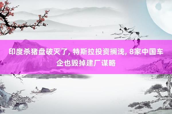 印度杀猪盘破灭了, 特斯拉投资搁浅, 8家中国车企也毁掉建厂谋略