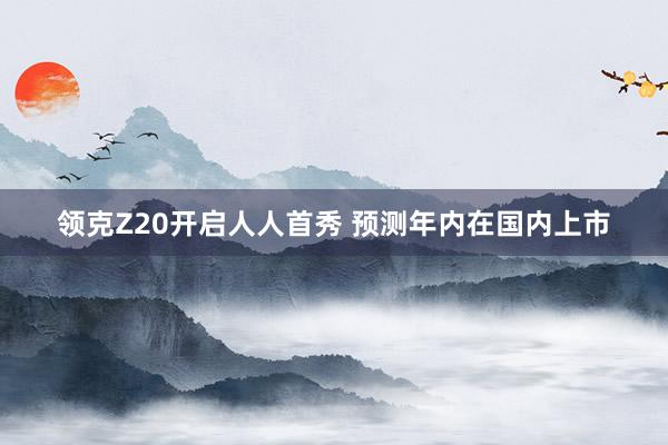 领克Z20开启人人首秀 预测年内在国内上市