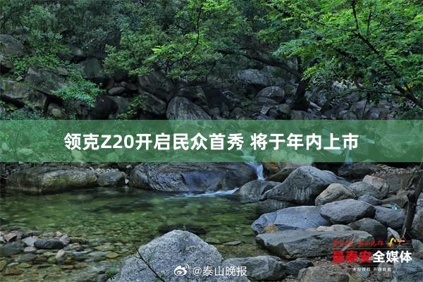 领克Z20开启民众首秀 将于年内上市