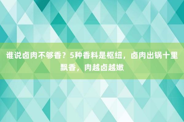 谁说卤肉不够香？5种香料是枢纽，卤肉出锅十里飘香，肉越卤越嫩